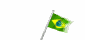 brazilflag.gif