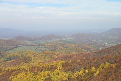 foliagevistadaserra.jpg