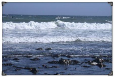 longislandweb.bmp