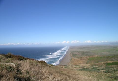 pointreys_beach.jpg