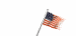 unitesstatesflag.gif