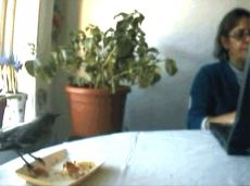 videofrankre.jpg